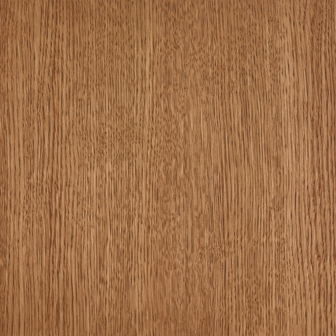 Kleurstaal – Oak Shell Gray 